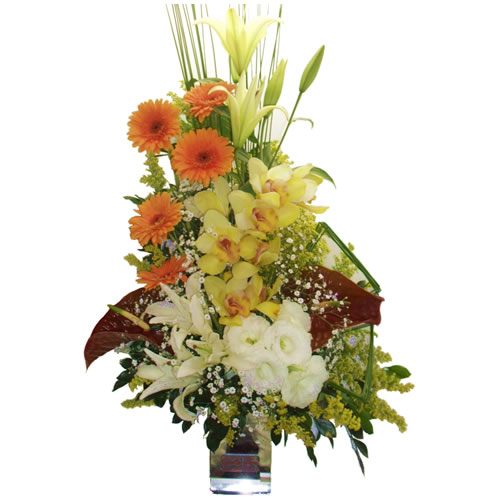 Arranjo com Orquídeas e Gérberas Arranjo com Orquídeas e Gérberas