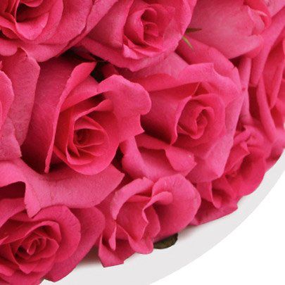 Bouquet Luxuoso 24 Rosas Pink Bouquet Luxuoso 24 Rosas Pink